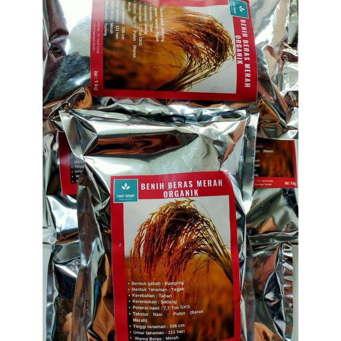 Benih Padi Unggul Beras Merah