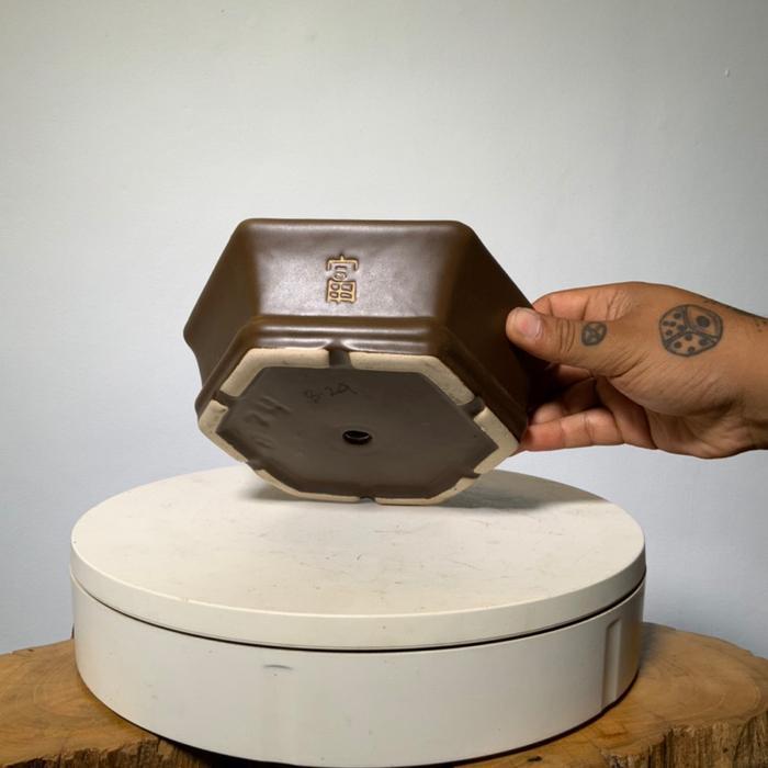 POT BONSAI KERAMIK SEGI 6