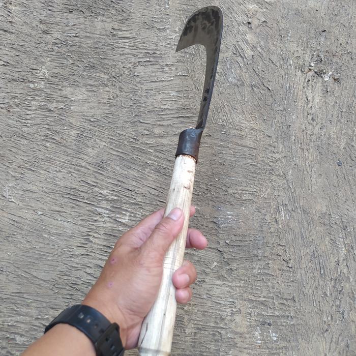 Kored Parang Sabit Rumput Baja Per Diskon Sale