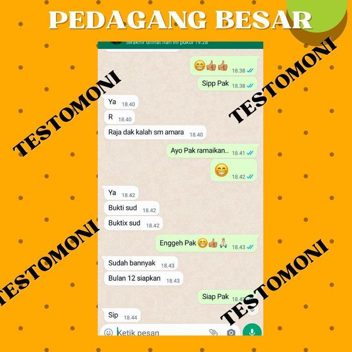 Benih Semangka Non Biji RADJA F1 - Bibit Semangka Non Biji Kualitas