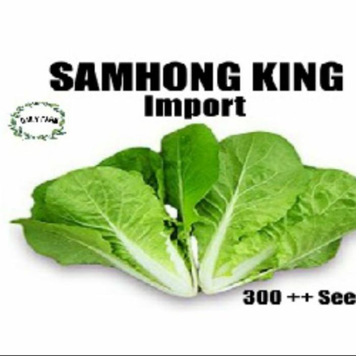 Benih Bibit Sawi Samhong King - Sawi Keriting Kemasan Almunium