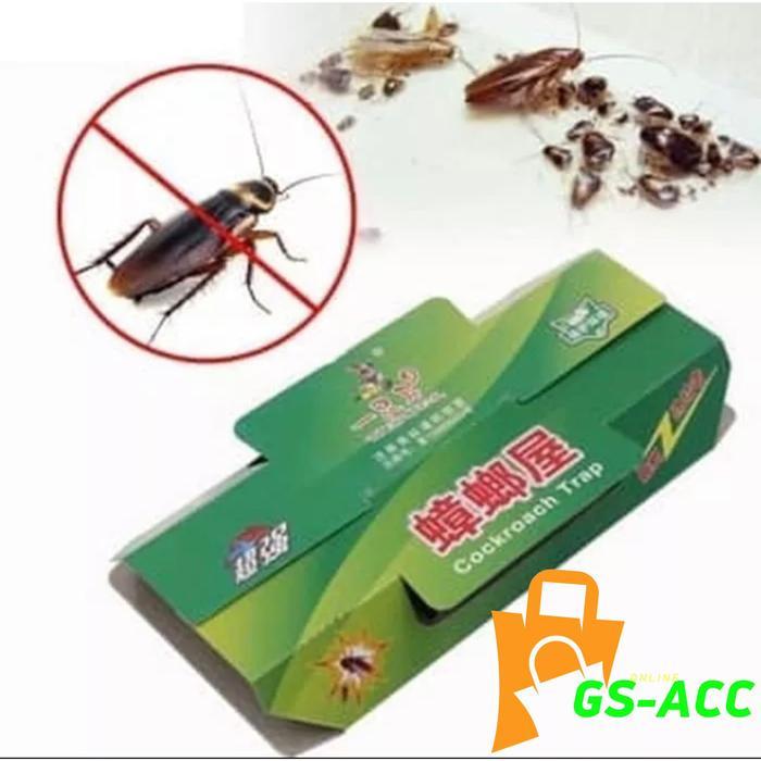 Lem Perangkap Kecoak & Cicak / Lem Kecoak Cicak Obat Basmi Pembasmi