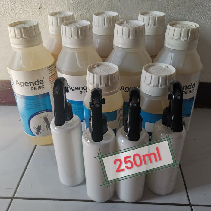 Obat rayap Agenda Bayer siap pakai