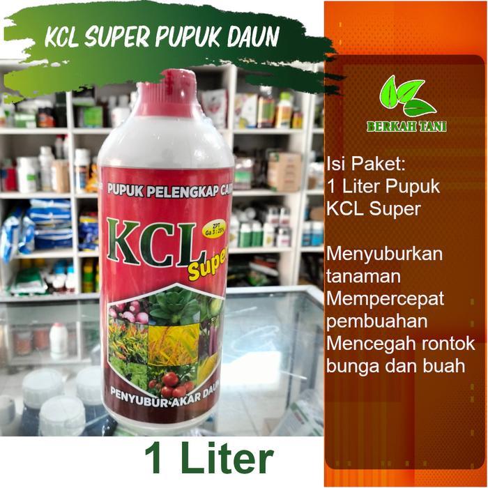 Terangbenderangshop Kcl Super 1 Liter Pupuk Kcl Cair Pupuk Penambah Bobot Padi
