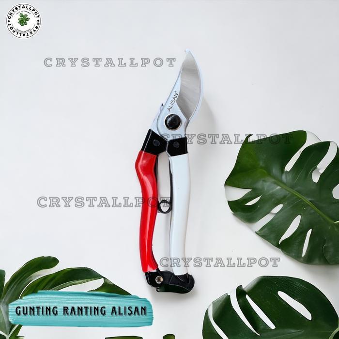 Rds - Gunting Dahan Ranting Kayu Batang Tanaman - Gunting Alisan 103 Merah Putih