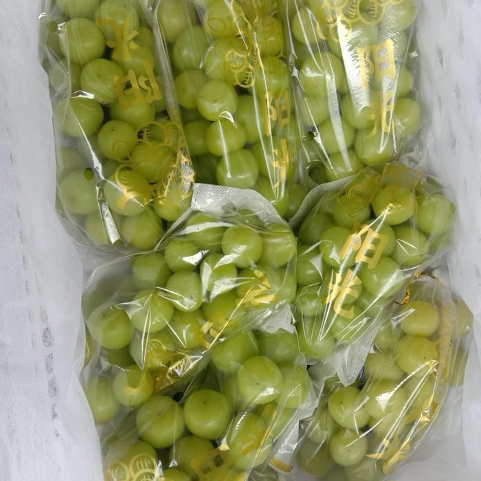 Anggur muscat shine muscat anggur manis muscat jumbo - 1 pack