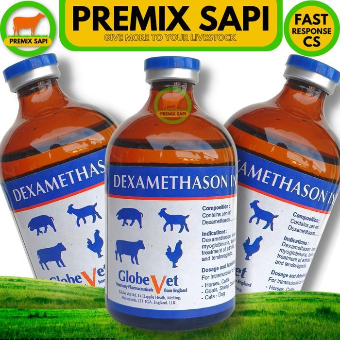 DEXA GLOBE VET 100 ML - DEXAMETHASON PANTEX HOLLAND
