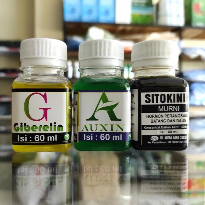 Paket Lengkap Hemat Giberelin Giberlin Auxin Auksin Sitokinin