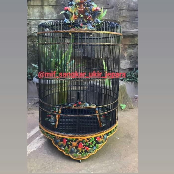 sangkar burung murai batu, sangkar burung