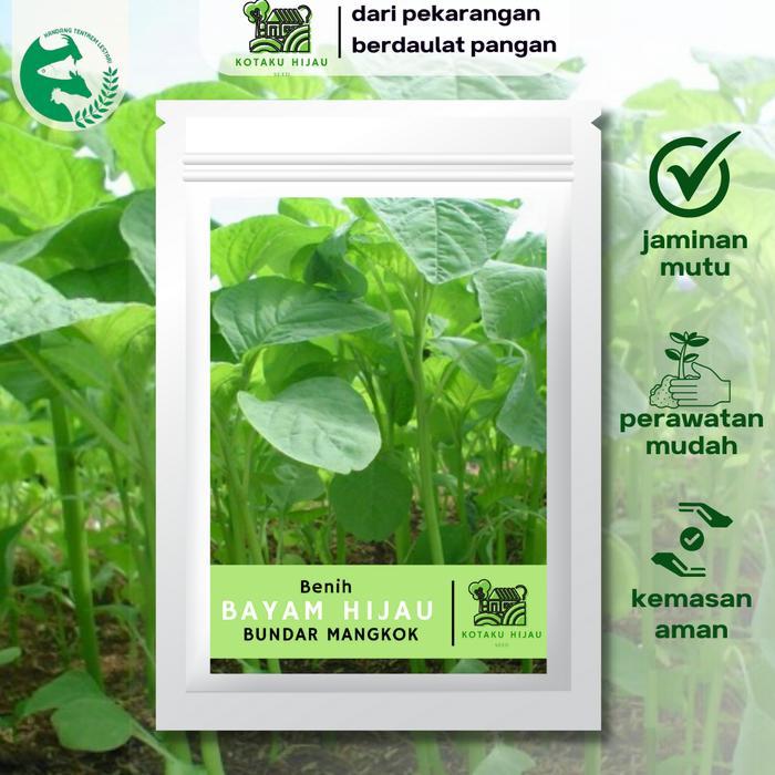 Benih Bayam Mangkok 15 gr Kotaku Hijau Unggul Cabut Potong