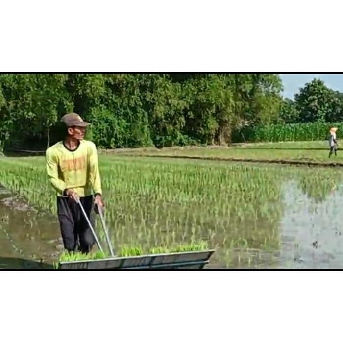alat tanam padi manual (transplanter manual) - Mode baru, Mode lama
