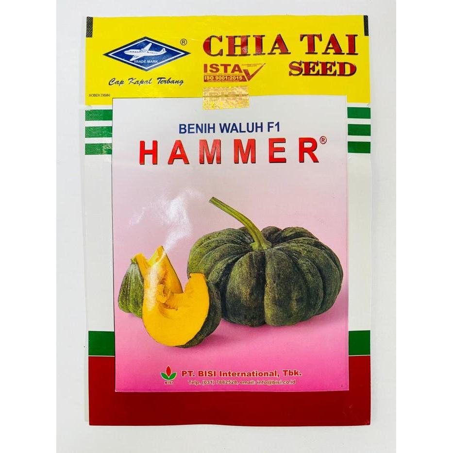 Terangbenderangshop Benih Waluh Hibrida Hammer F1