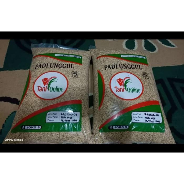 Benih Padi Rajasa 01 Kemasan 5 kg