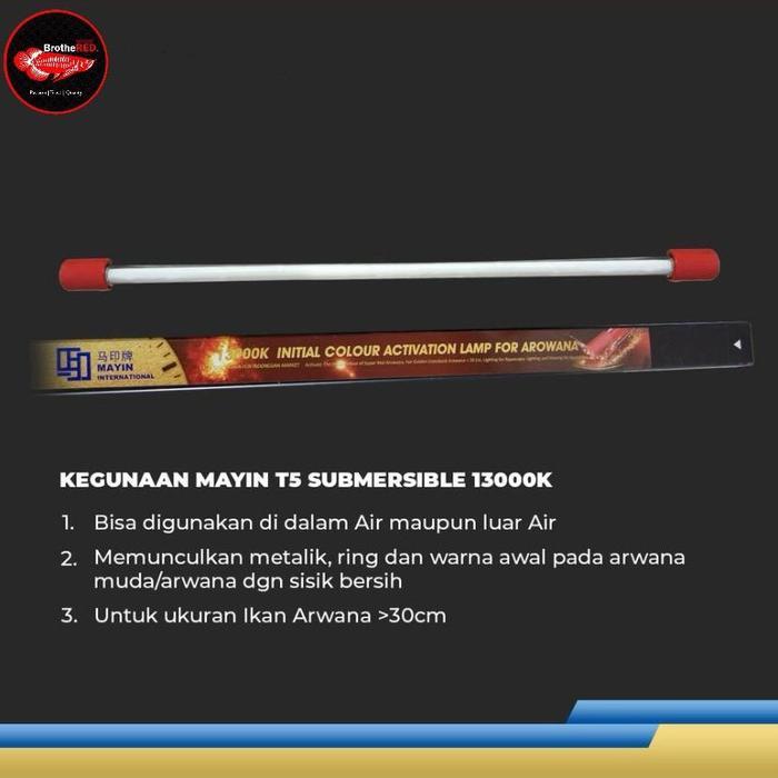 MAYIN TANNING LAMP 13000K