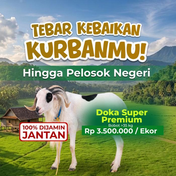 Kurban / Qurban Kambing Super Premium - Dompet Dhuafa