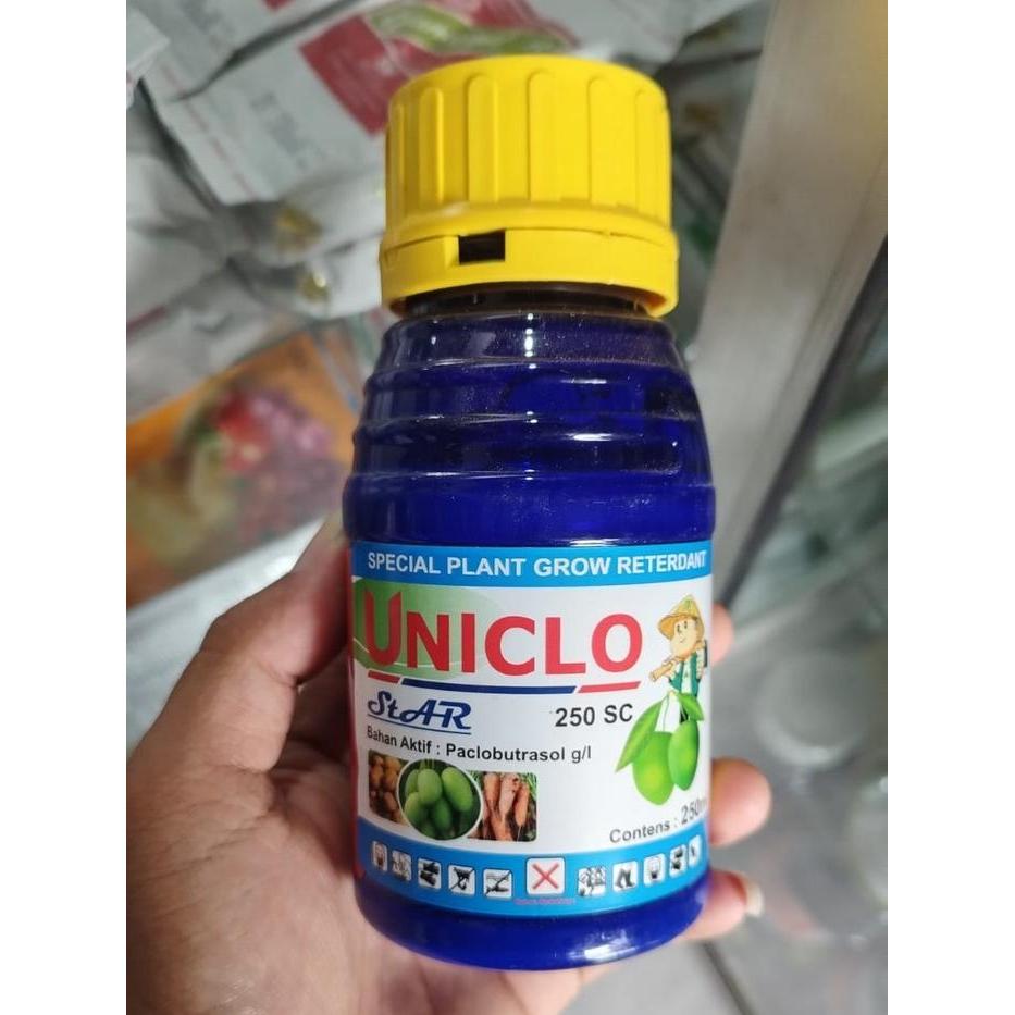 lumercok99 Fungisida UNICLO untuk zat pengatur tumbuh pada tanaman mangga/apel/nanas