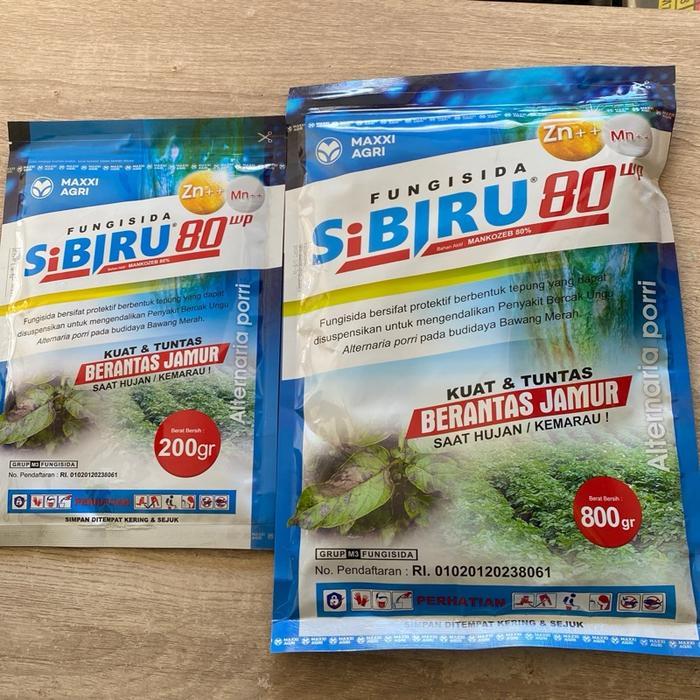 lumercok99 Maxxi Agri Fungisida SiBiru 80wp Maxxi Agri Indonesia Perlindungan Maksimal Berantas