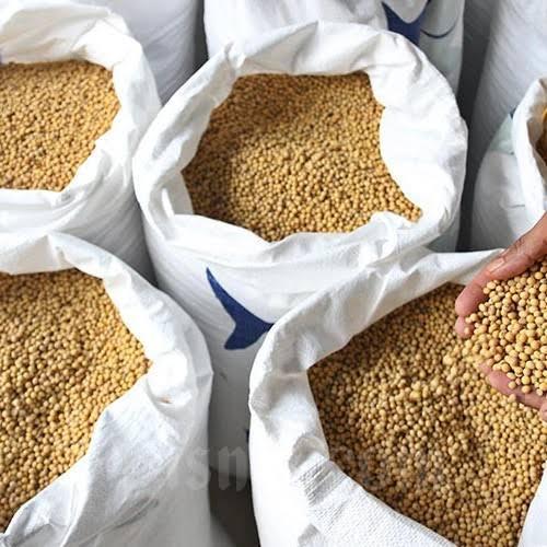 DISKON Kacang Kedelai Import 50 Kg/Kacang Kedelai Mata Hitam