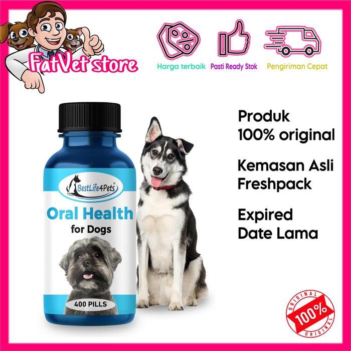 Best life 4pets oral health dog obat karang gigi anjing