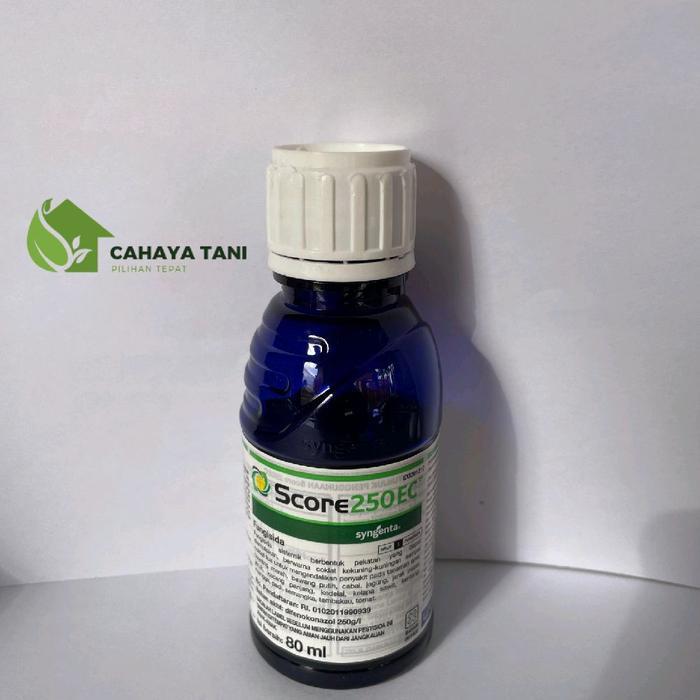 lumercok99 SCORE 250EC 80ML-250ML FUNGISIDA OBAT PADI Daun