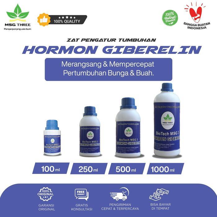 Hormon Giberelin MSG 3 - Pupuk ZPT Giberelin untuk Mempercepat Perkecambahan Benih & Pertumbuhan