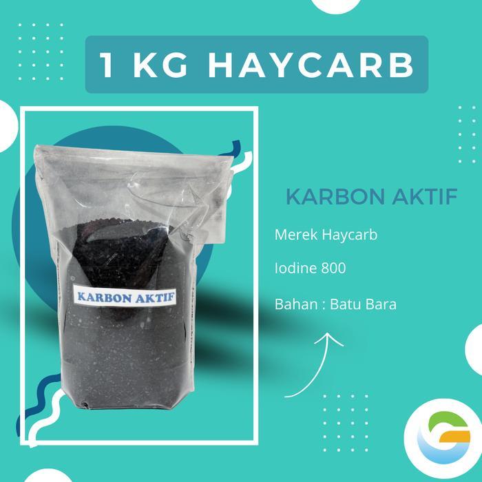 canaicoseller Karbon Aktif Import Haycarb Iodine 800