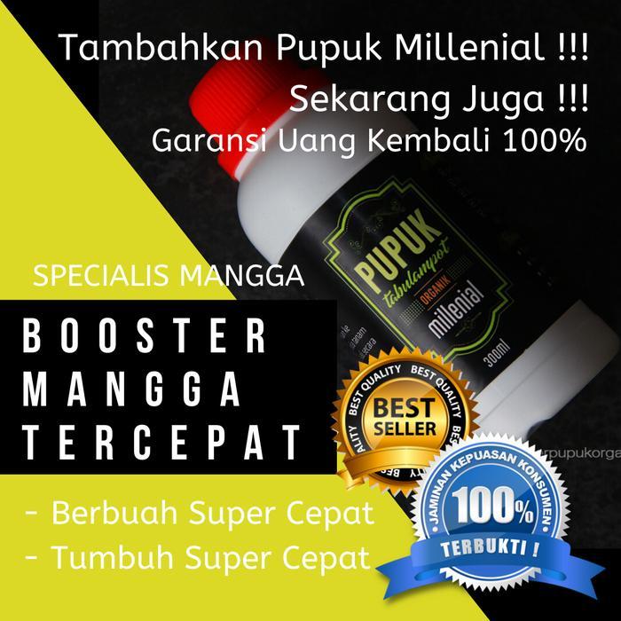 Pupuk Mangga Biar Cepat Berbuah