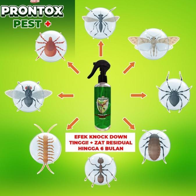` PEMBASMI TOMCAT PRONTOX PEST PLUS 250ML PEMBASMI LALAT LIMBAH LALAT BUAH PEMBASMI LALAT KAMAR