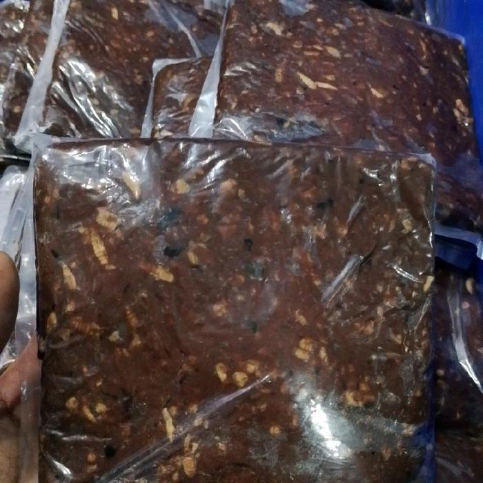 PELET MAGOT DARAH UMPAN GALATAMA LELE