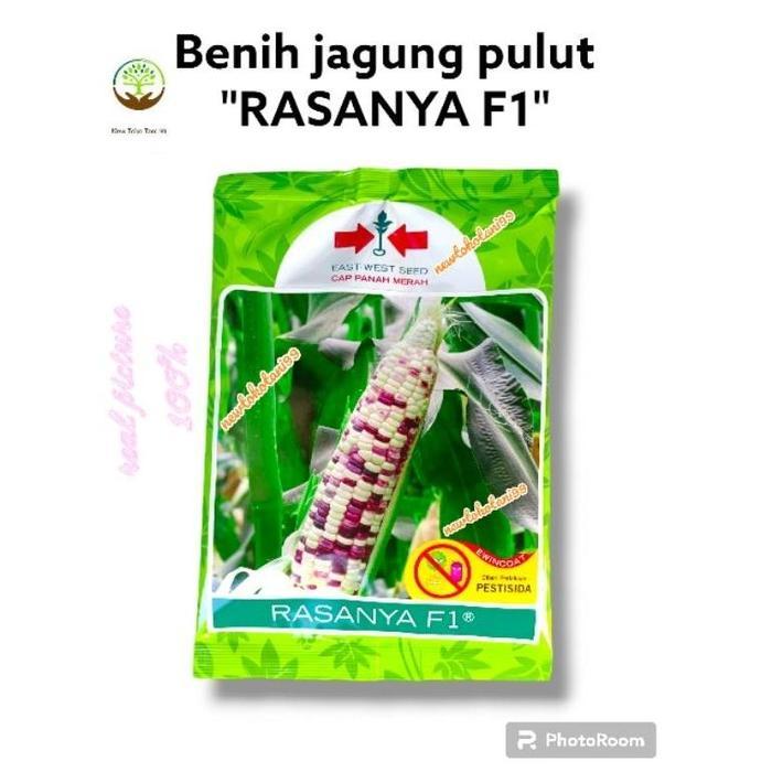 Panah Merah - Benih Jagung Ketan Pulut Manis RASANYA F1 250 Gram Cap Panah Merah