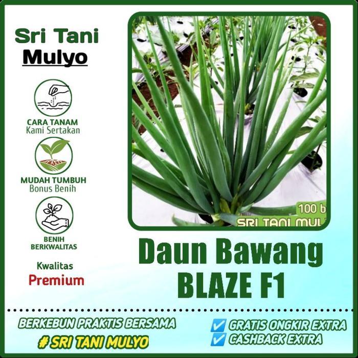 100 Biji - Benih Bawang Daun BLAZE F1 - CAP PANAH MERAH