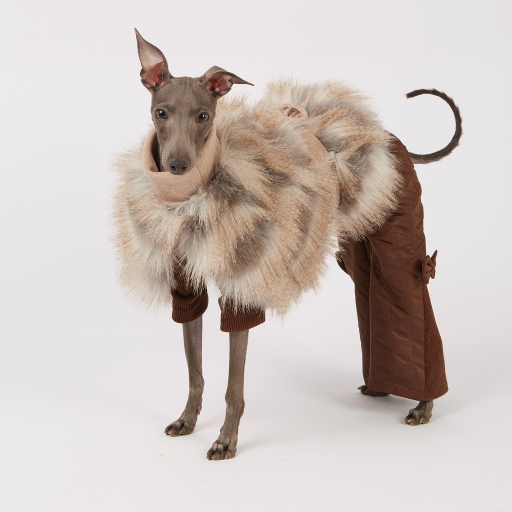 Elegant Warm Grey Plush Cape Jacket for Dogs in Winter Khaki Sweater for Italian Greyhound