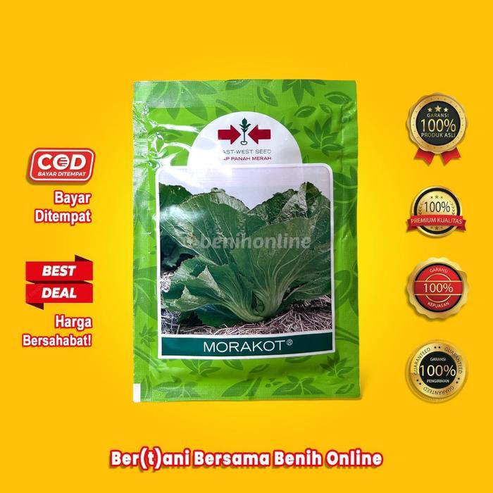 Terangbenderangshop Benih Sawi Pahit Morakot 20 Gram Cap Panah Merah Glory Pakchoy Nauli Sawi Sendok