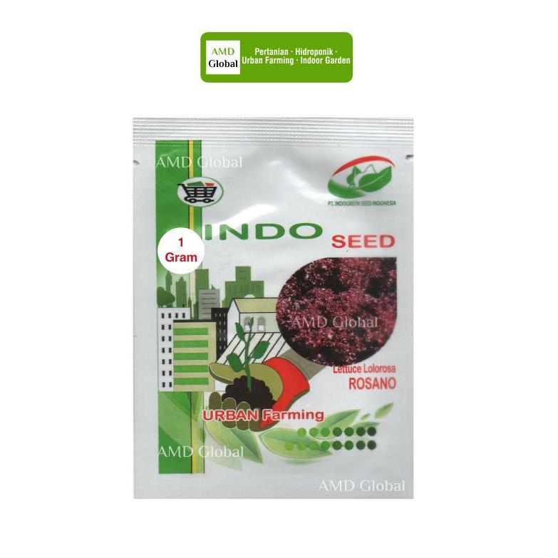 Benih Selada Keriting Merah Lolorosa Rosano Indoseed Enza Zaden