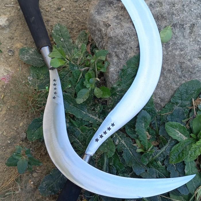 sabit rumput bintang lima asli Madura
