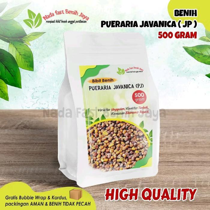 Benih Pj Pueraria Javanika 500 Gram / Biji Kacang Kacangan / Bibit Pueraria Javanica / Benih Kacang