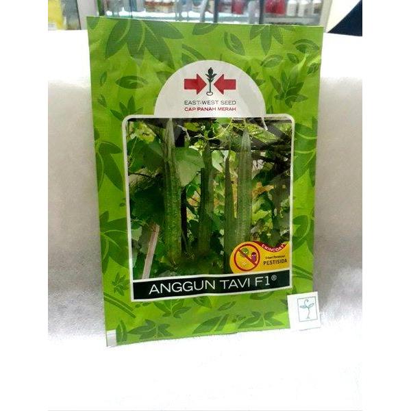Benih Bibit Gambas Oyong F1 ANGGUN TAVI 75 biji