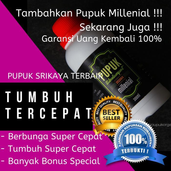 Pupuk Untuk Buah Srikaya Pupuk untuk srikaya jumbo TERBAIK