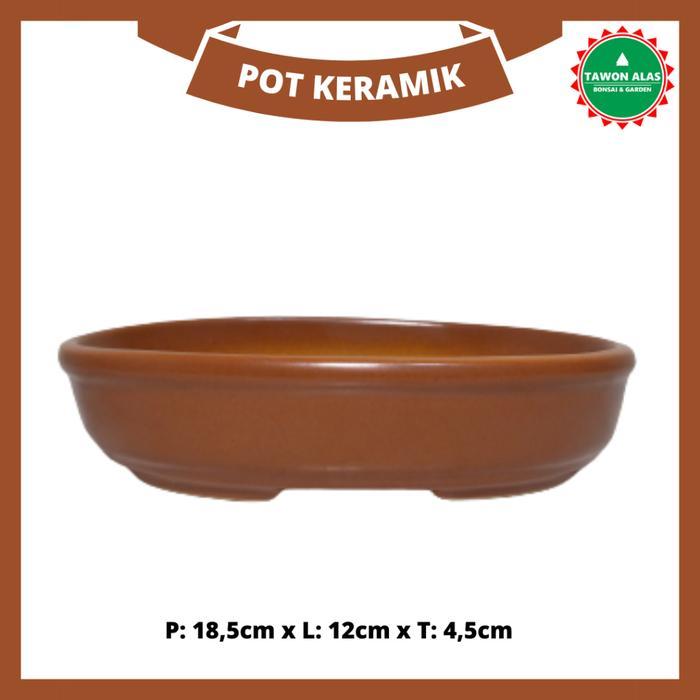 Terangbenderangshop Pot Bonsai Keramik Oval Lonjong Kecil Small Mame Not Semen Plastik