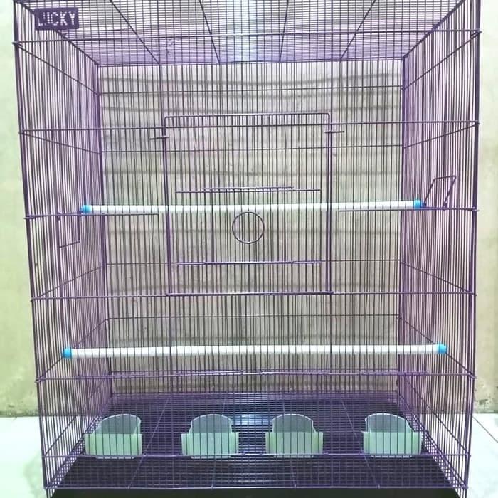 KANDANG KUCING / ANJING / MUSANG IGUANA JUMBO BESAR MURAH TINGKAT 90