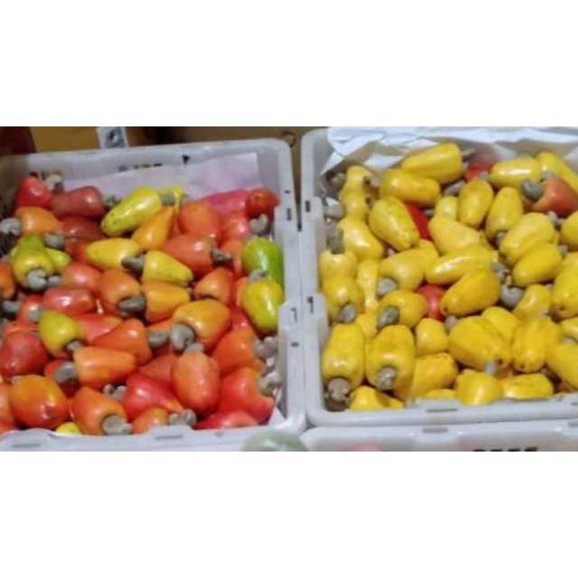 2 Kg BENIH JAMBU MEDE , MONYET , METE