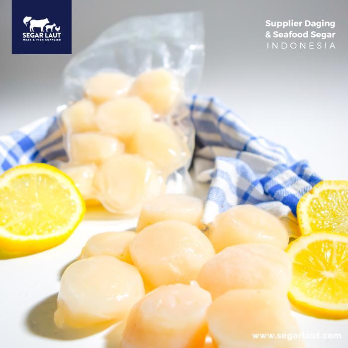 Scallop US Import Frozen Scallop USA Scallop Jumbo Kerang Laut