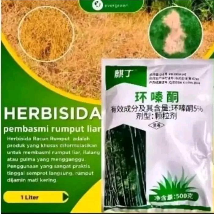 Obat Bubuk TreeKiller Hexazinone Herbisida Ampuh Pembasmi Rumput Bambu Rumput Besar dan Gulma Padi