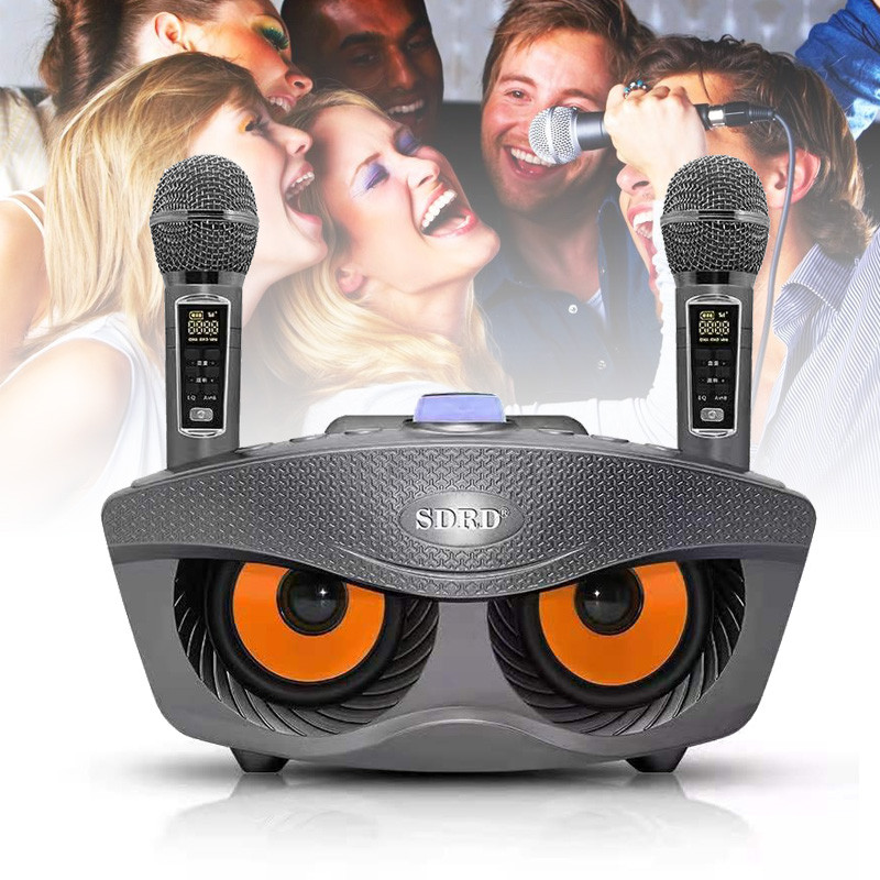 SD-306Plus Wireless Karaoke Bluetooth Speaker with Microphone KTV System Owl Portable Family Party