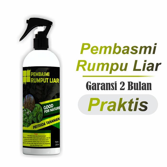 racun rumput / pembasmi rumput liar ampuh dan efektif