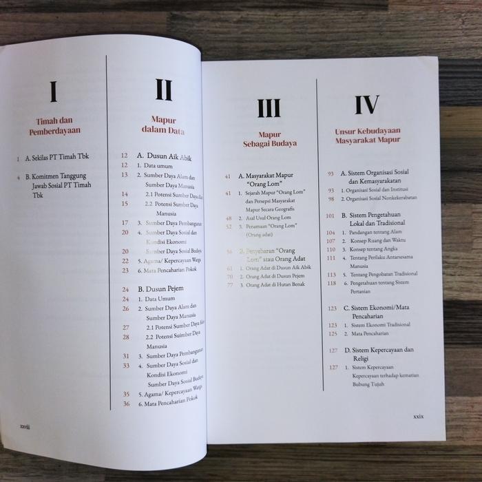 Jual MAPUR : MENDULANG KISAH MERAUP BERKAH