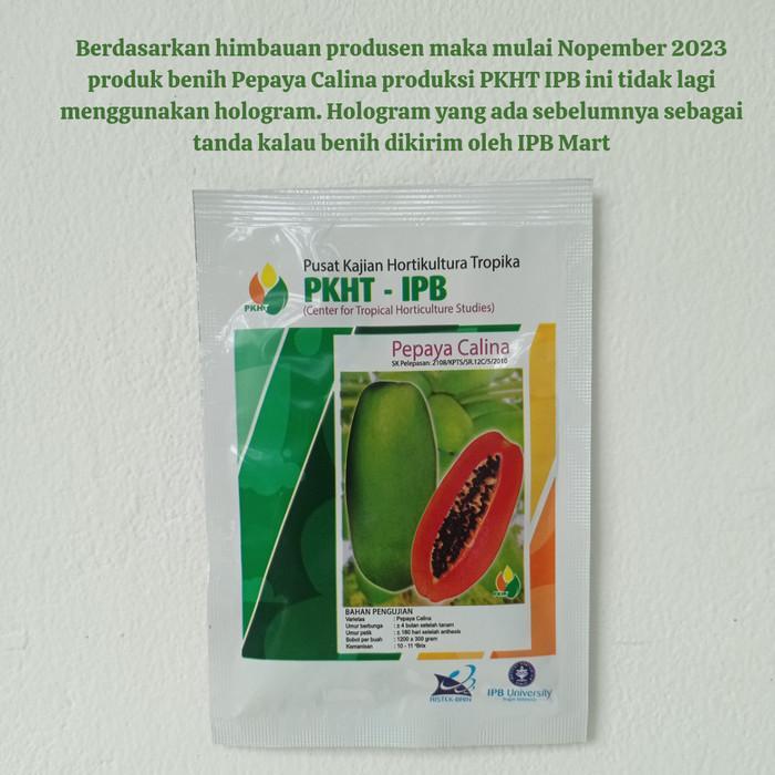 Benih Pepaya Calina Pkht Ipb 9 (California) Callina - Neew