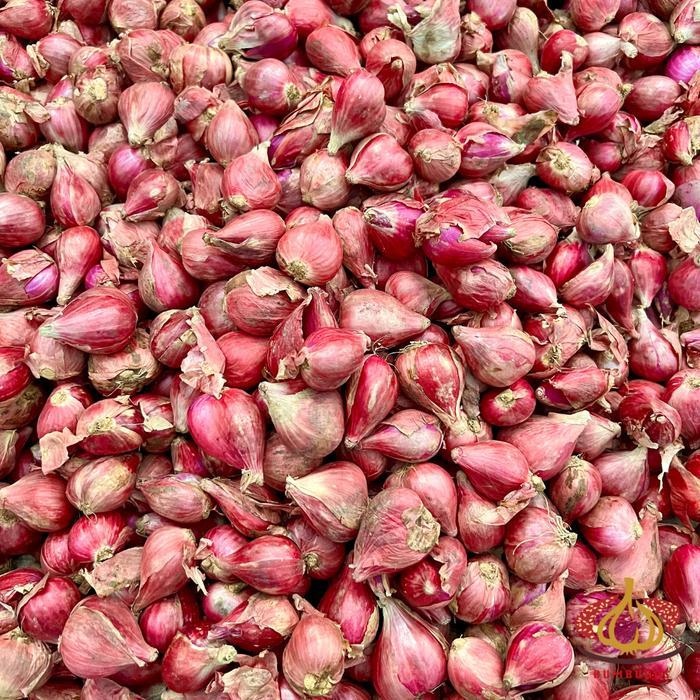 BAWANG MERAH BREBES BESAR SUPER 1 SAK KARUNG BALL 20 KG