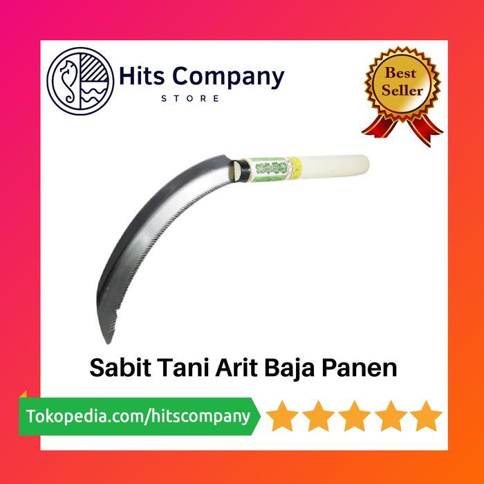 SABIT TANI ARIT BAJA PANEN PADI KUALITAS BAGUS