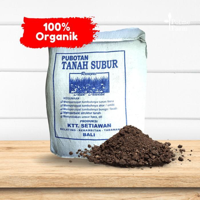 Media Tanam Tanah Organik Premium Siap Pakai